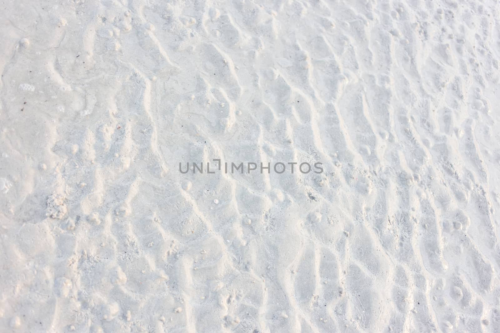 White Sand on the beach