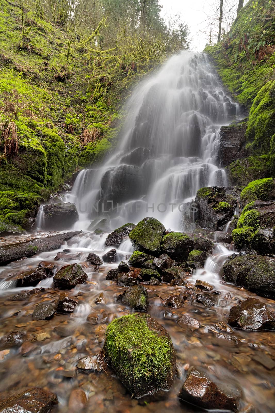 Fairy Falls in Columbia River Gorge along Wahkeena Creek Trail covered in green moss in Springtime