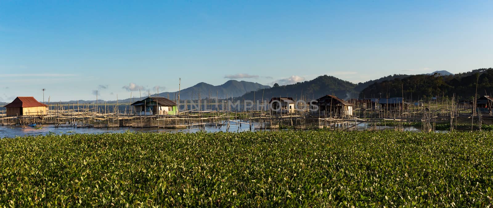 Fish farm and hatchery or nursery, Lake Tondano, Sulawesi, Indonesia (Celebes), Asia