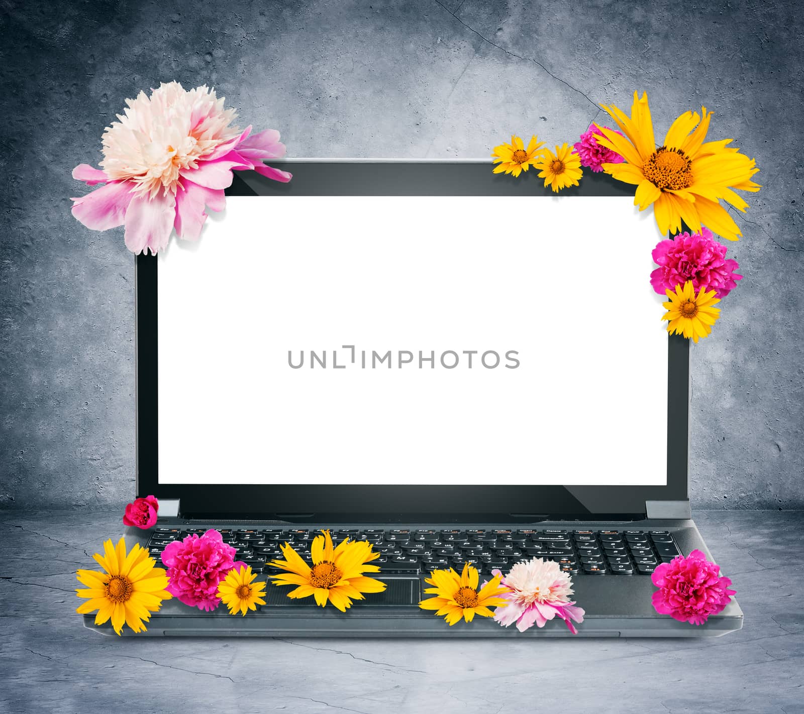 Laptop with flowers on grey wall background
