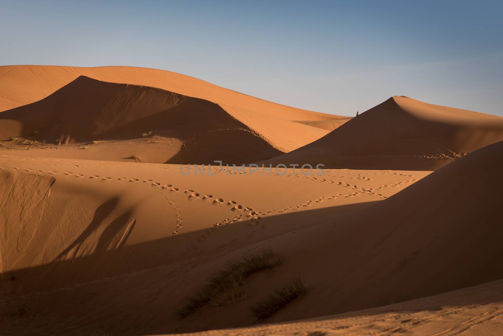 Dunes, Morocco, Sahara Desert by johnnychaos