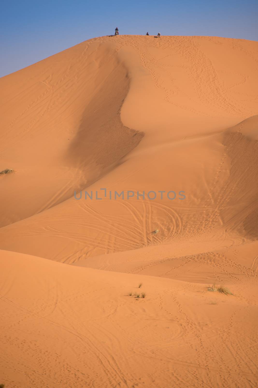 Dunes, Morocco, Sahara Desert by johnnychaos