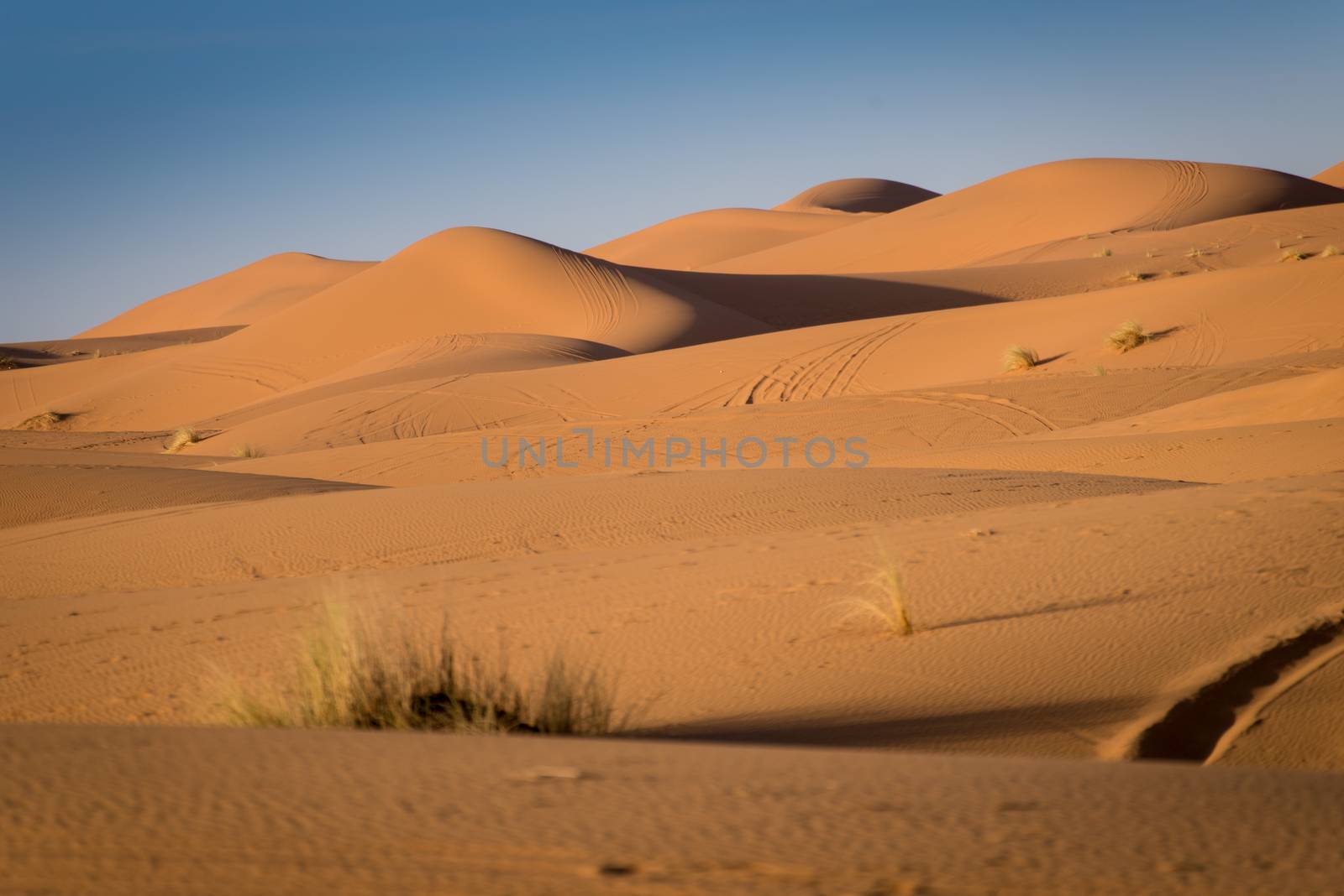 Sand dunes in the Sahara Desert, Erg Chebbi, Merzouga, Morocco