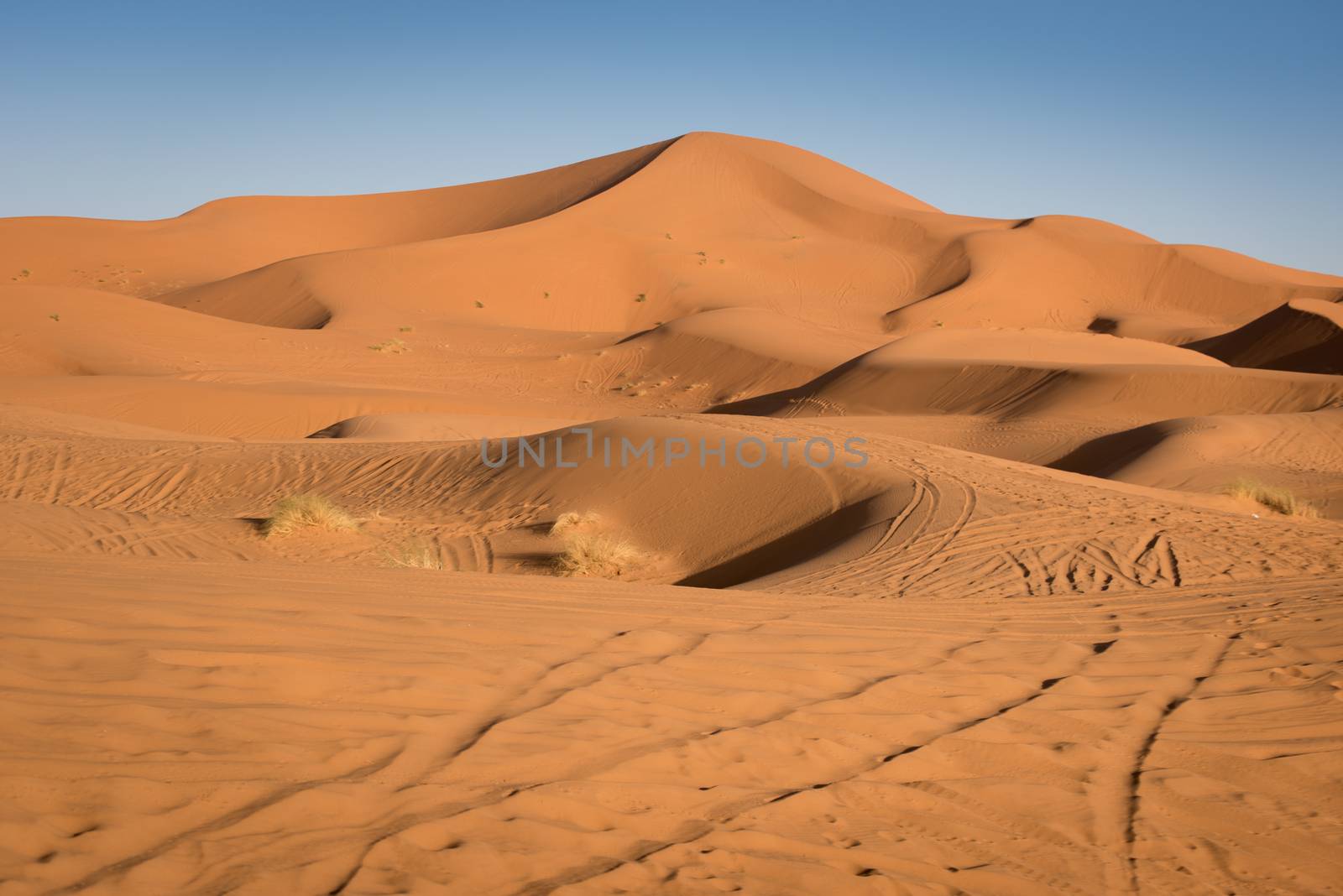 Dunes, Morocco, Sahara Desert by johnnychaos