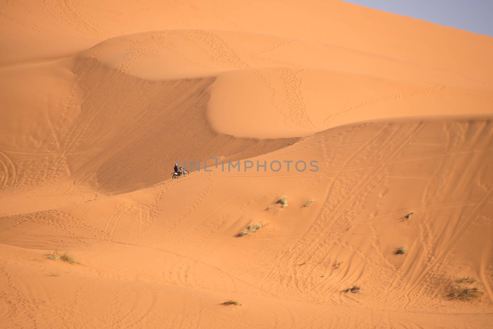 Dunes, Morocco, Sahara Desert by johnnychaos