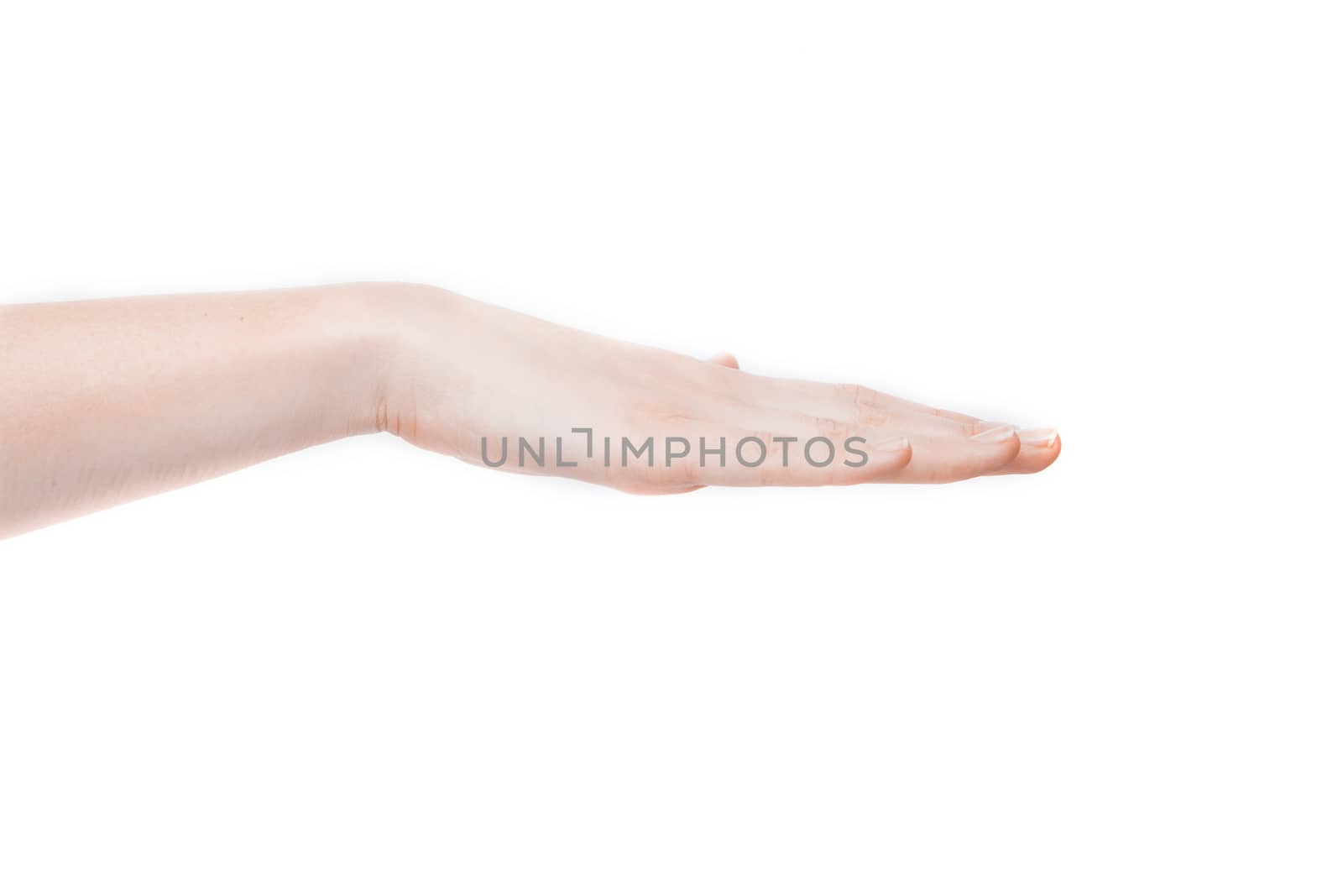 Female hand showing gesture on an isolated white background