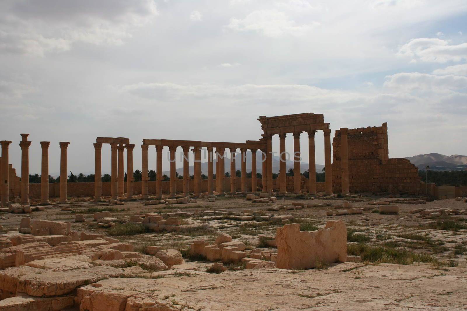 SYRIA, Palmyra : A picture shows ruins of the antique city of Palmyra located on an oasis in central Syria on April 13, 2010. Syria's antiquities chief hailed the imminent recapture of the ancient city of Palmyra from the IS group and vowed to rebuild the famed monuments the jihadists have destroyed, on March 24, 2016.