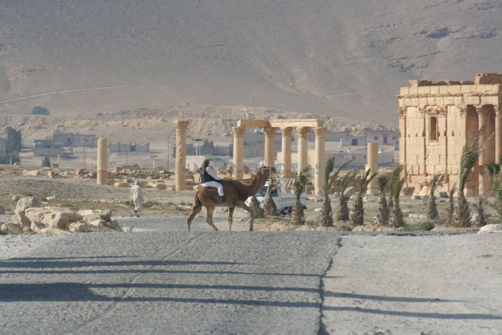 SYRIA, Palmyra : A picture shows ruins of the antique city of Palmyra located on an oasis in central Syria on April 13, 2010. Syria's antiquities chief hailed the imminent recapture of the ancient city of Palmyra from the IS group and vowed to rebuild the famed monuments the jihadists have destroyed, on March 24, 2016.