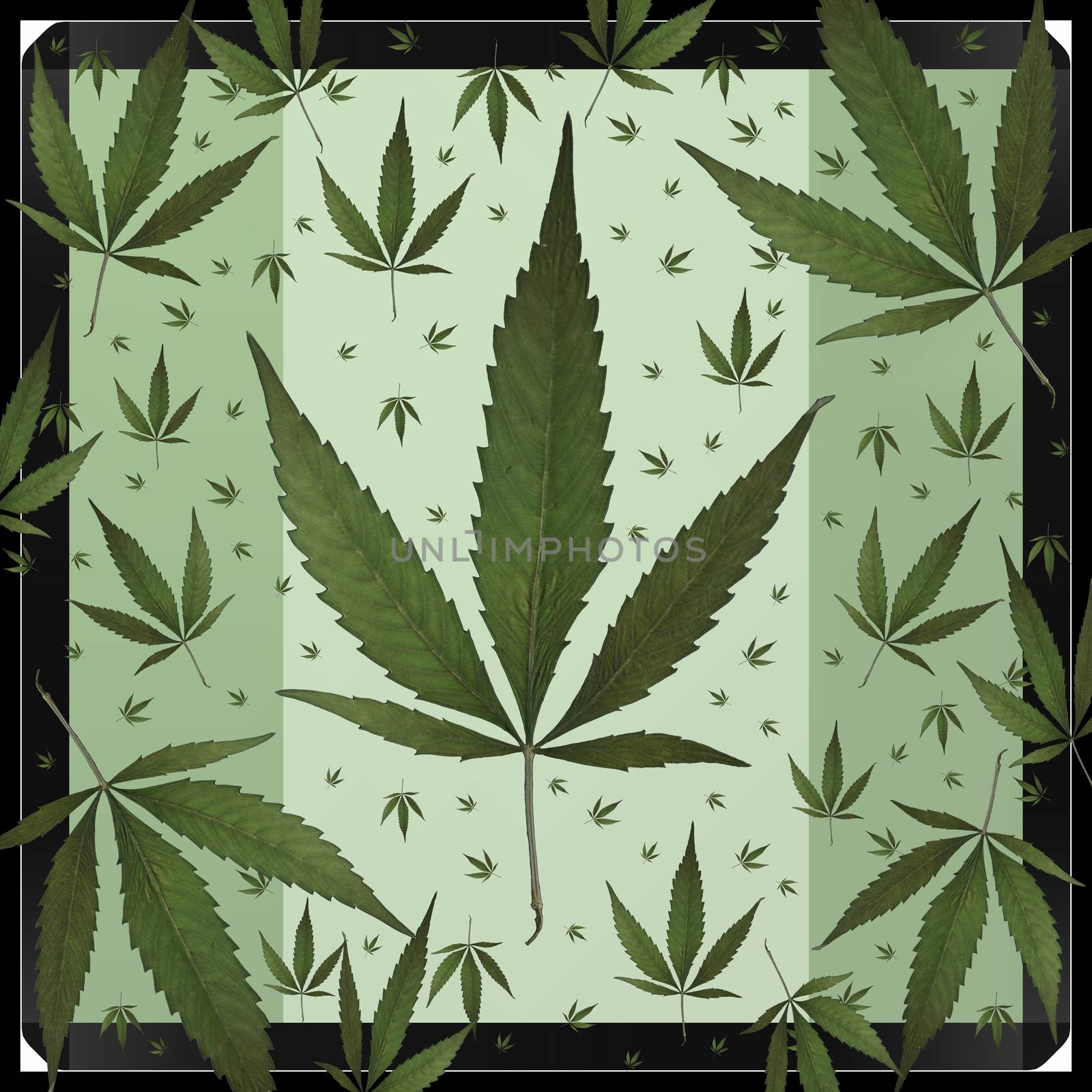A square format design using weed leaves.