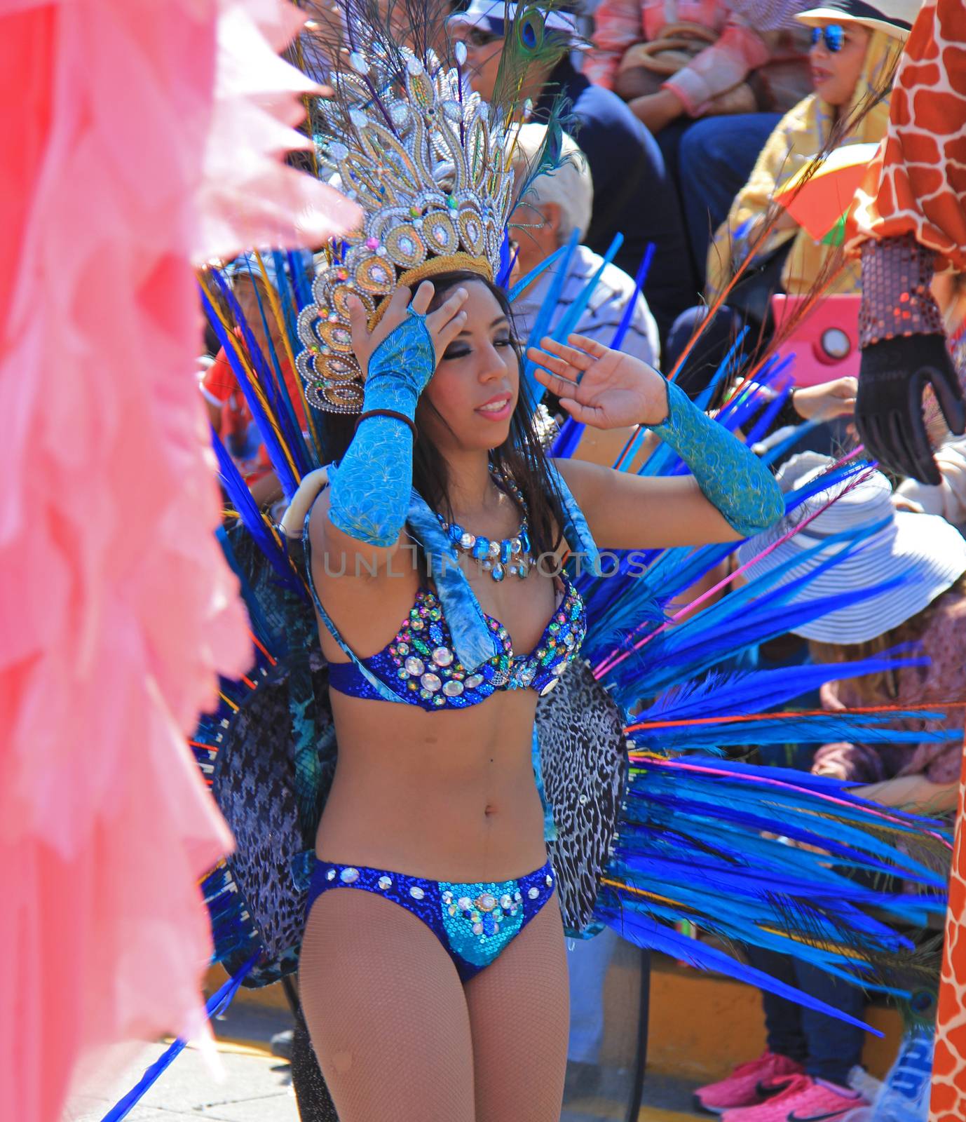 A dancer performing at a parade during a carnaval in Veracruz, Mexico 07 Feb 2016 No model release Editorial use only