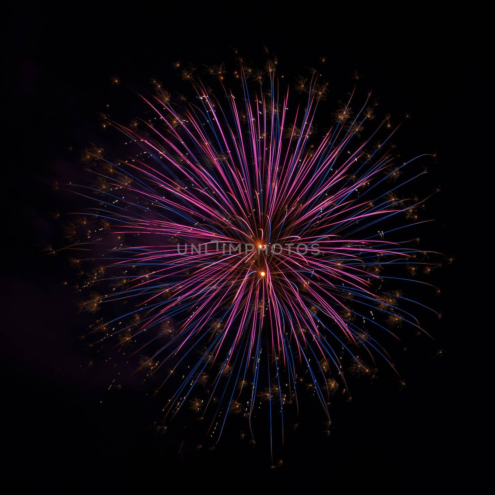 Fireworks burst closeup from the 4th of July.