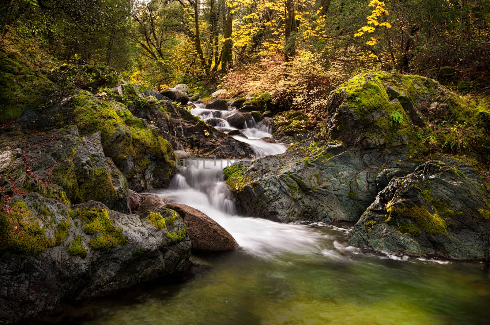 Fall color exploding over Brandy Creek. Whiskeytown National Recreation Area.