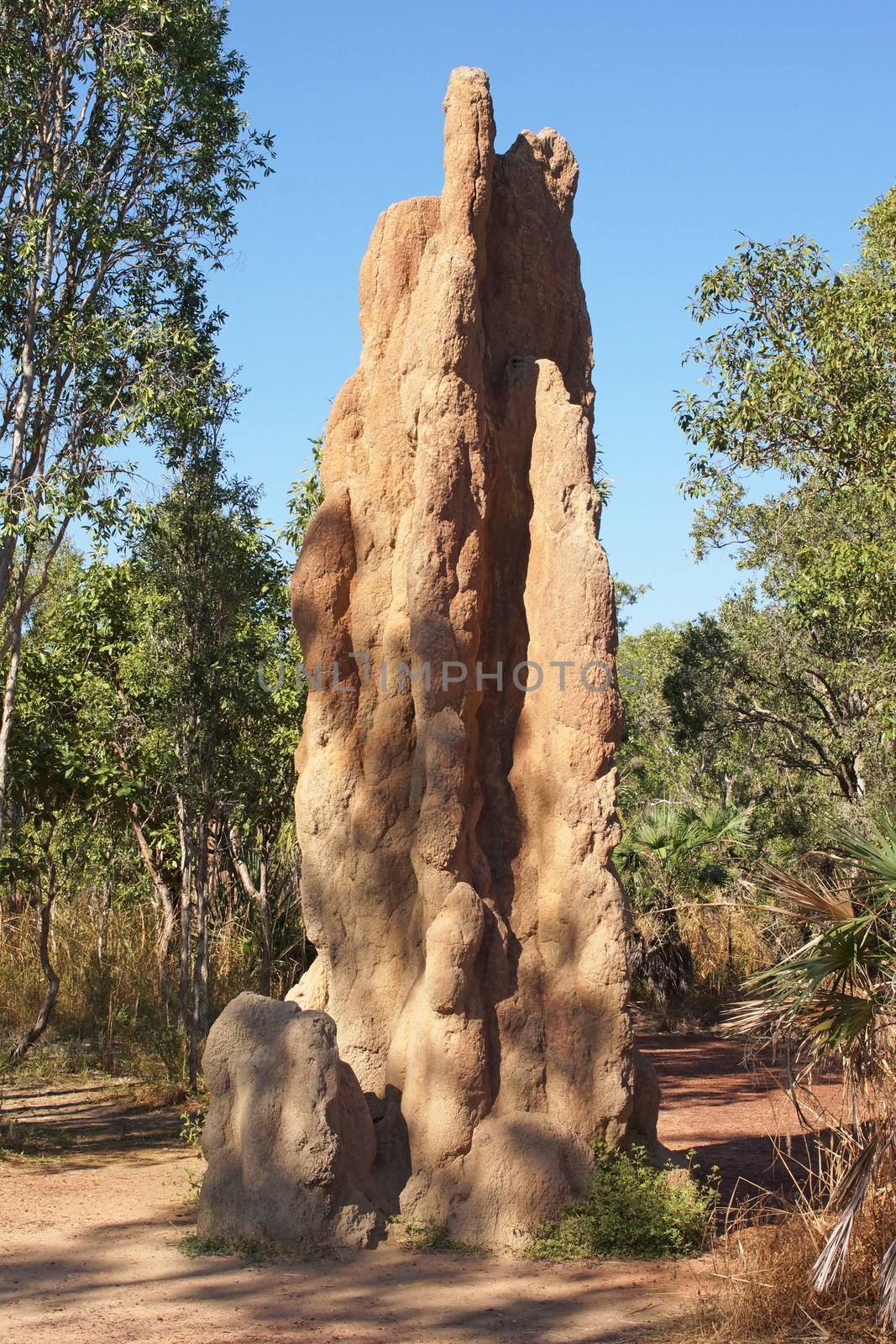 Litchfield National Park, Australia by alfotokunst