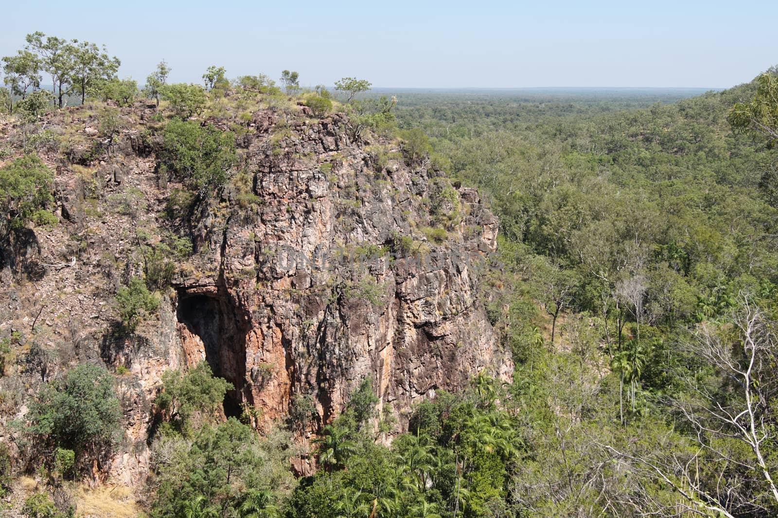 Landscape of the Litchfield National Park, Australia
