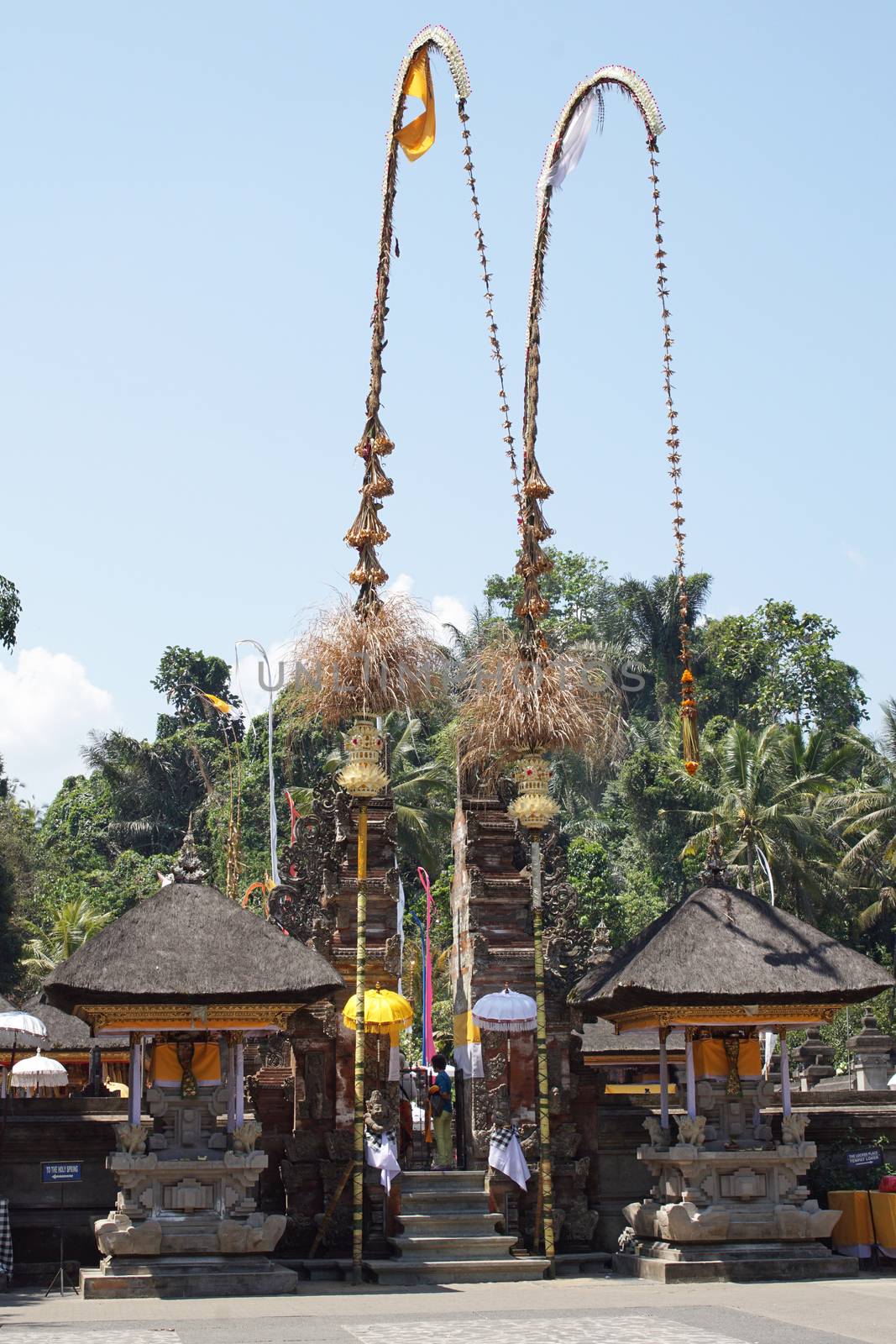 Pura Tirta Empul, Bali, Indonesia by alfotokunst