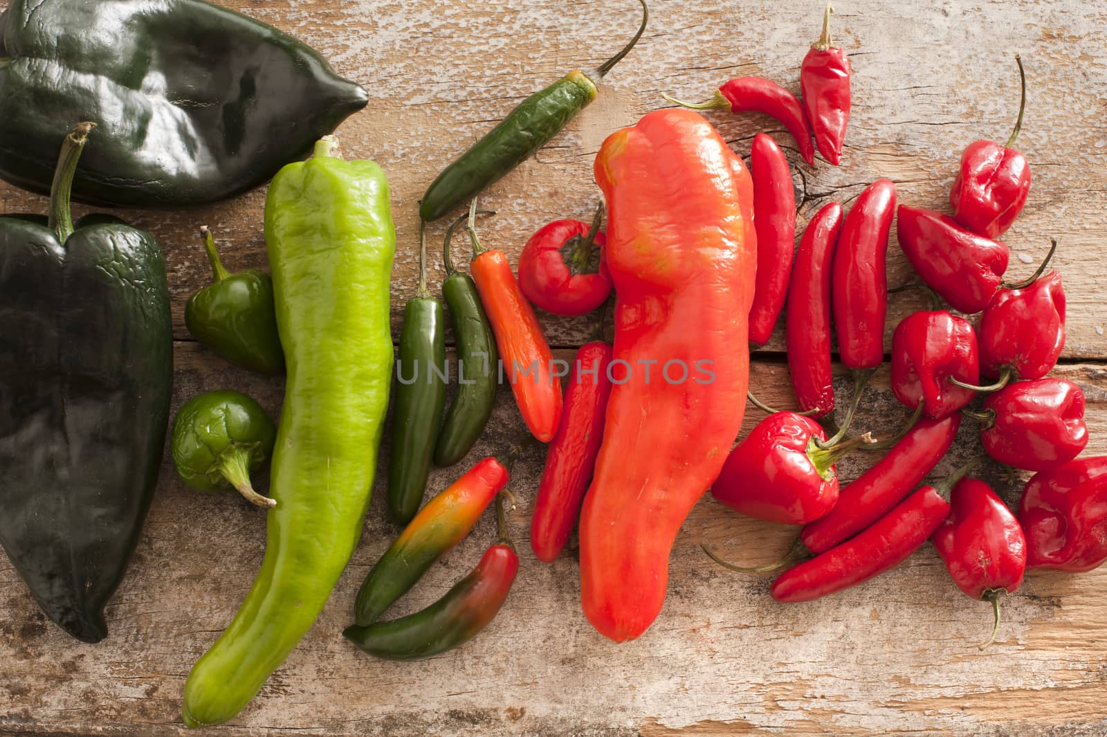 Large diverse selection of colorful poblano serrano and habanero peppers on a rustic wooden table