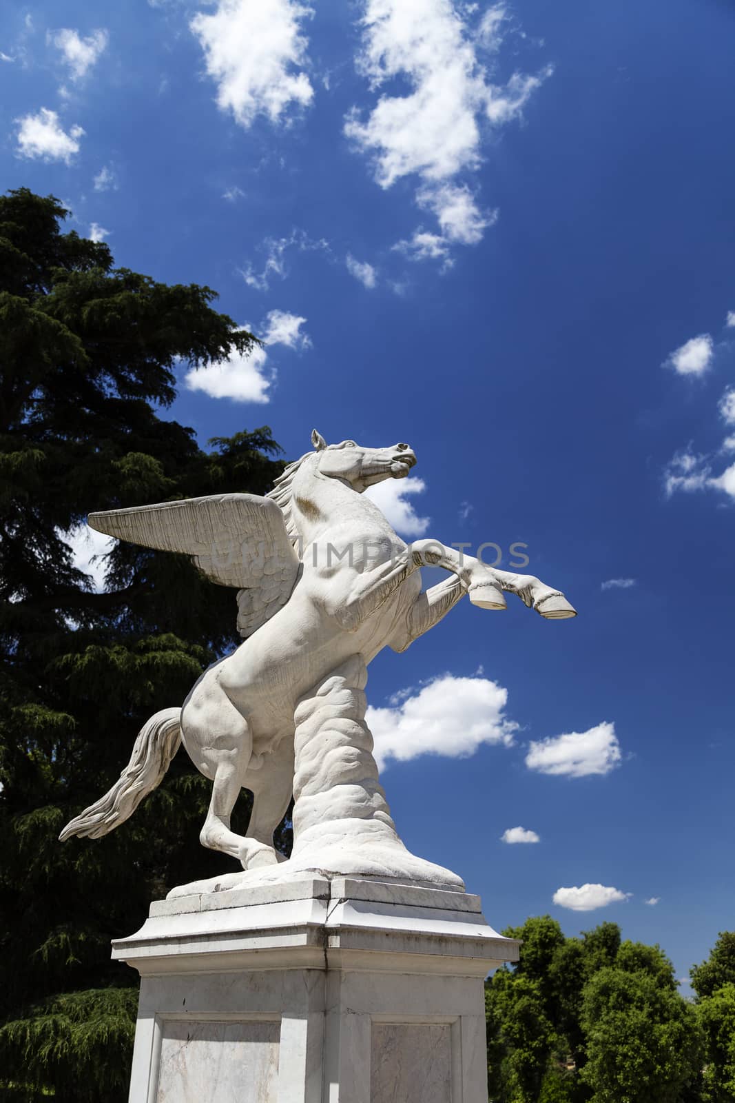 Antique Pegasus sculpture on a backkground on blue sky in Boboli Gardens  in Florence, Italy 