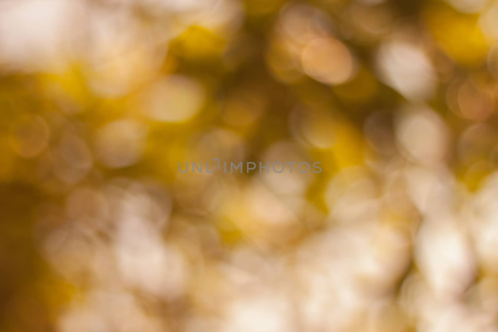 light out of focus background blur yellow and brown colored