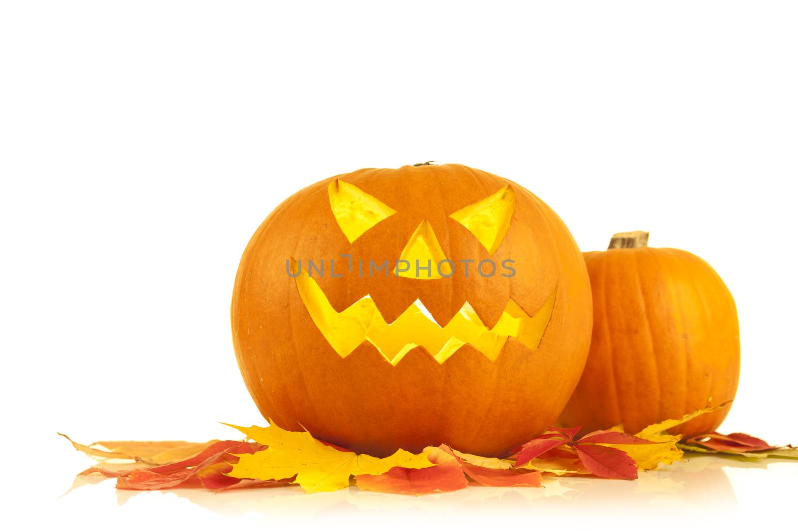 halloween pumpkin