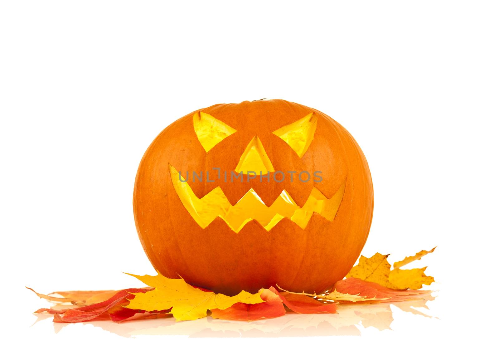 halloween pumpkin by oleandra