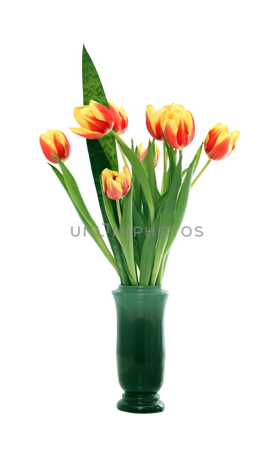 Tulips In Vase by kvkirillov