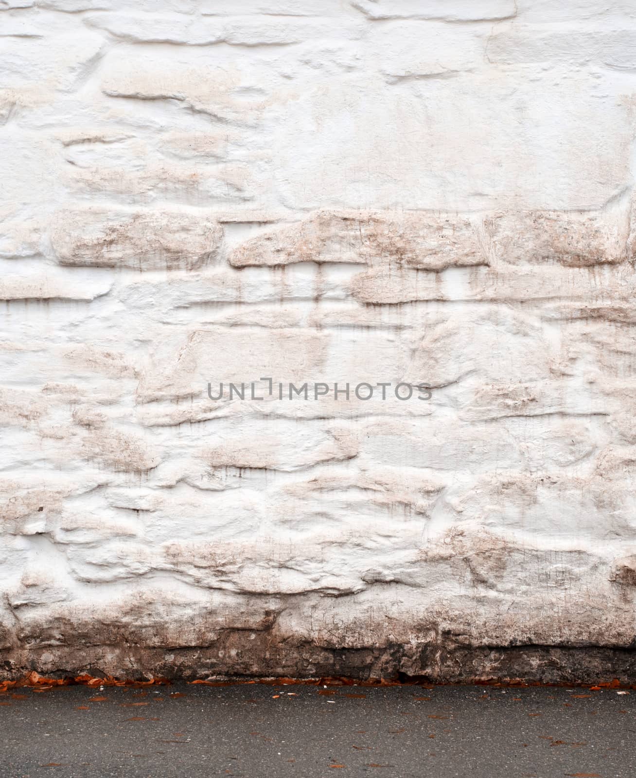stucco grunge white wall in autumn background