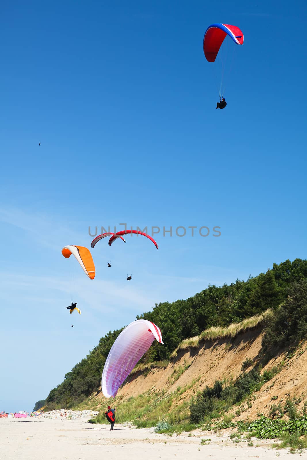 paraglider on the blue sky