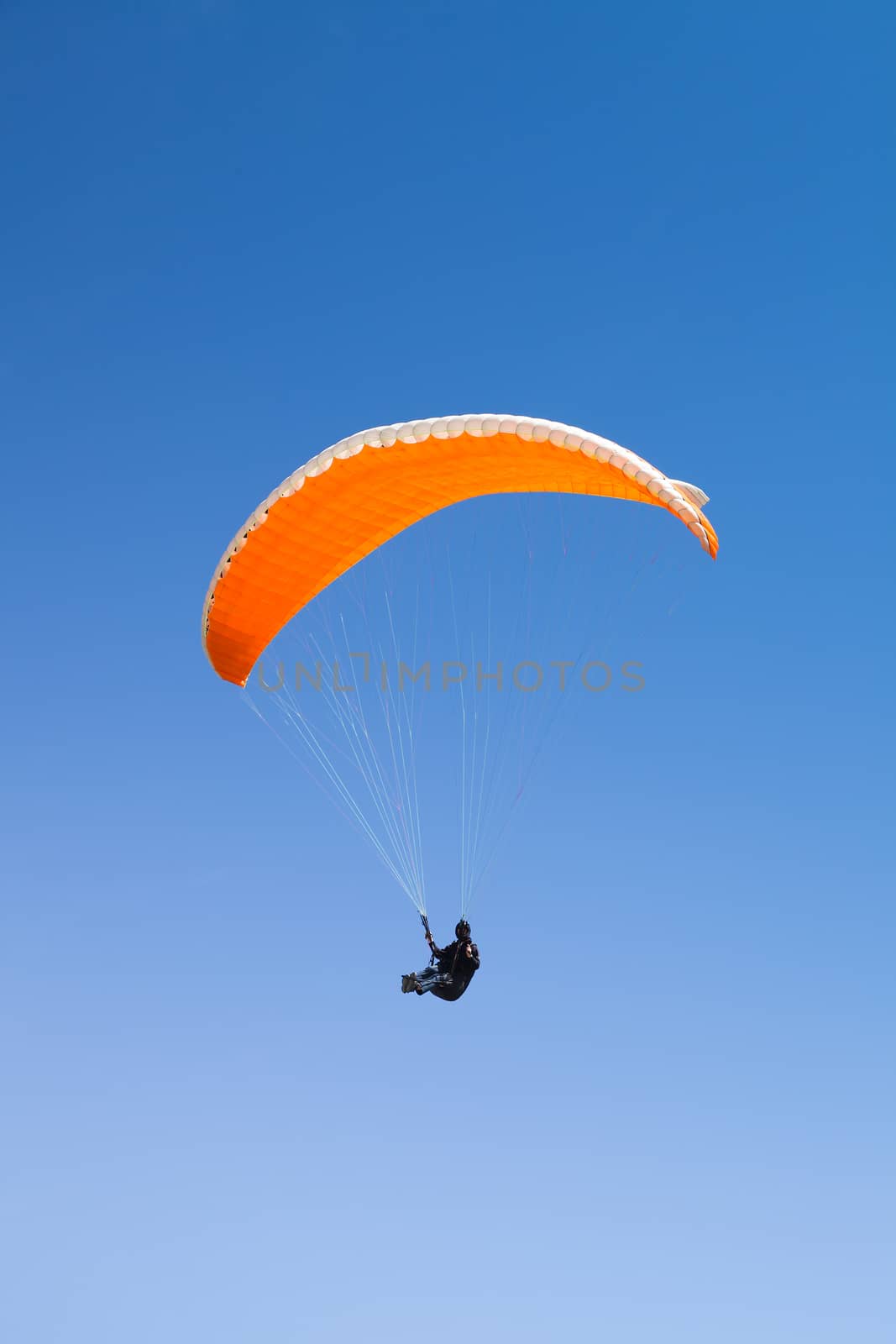 paraglider on the blue sky