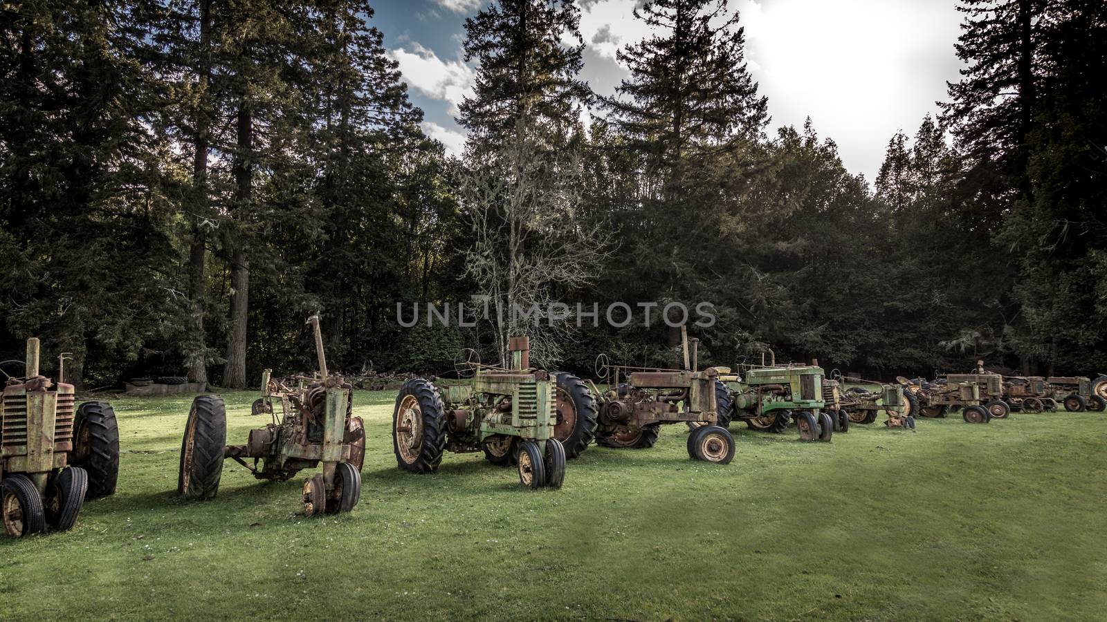 Antique Tractors in a Field, Color Image, Day