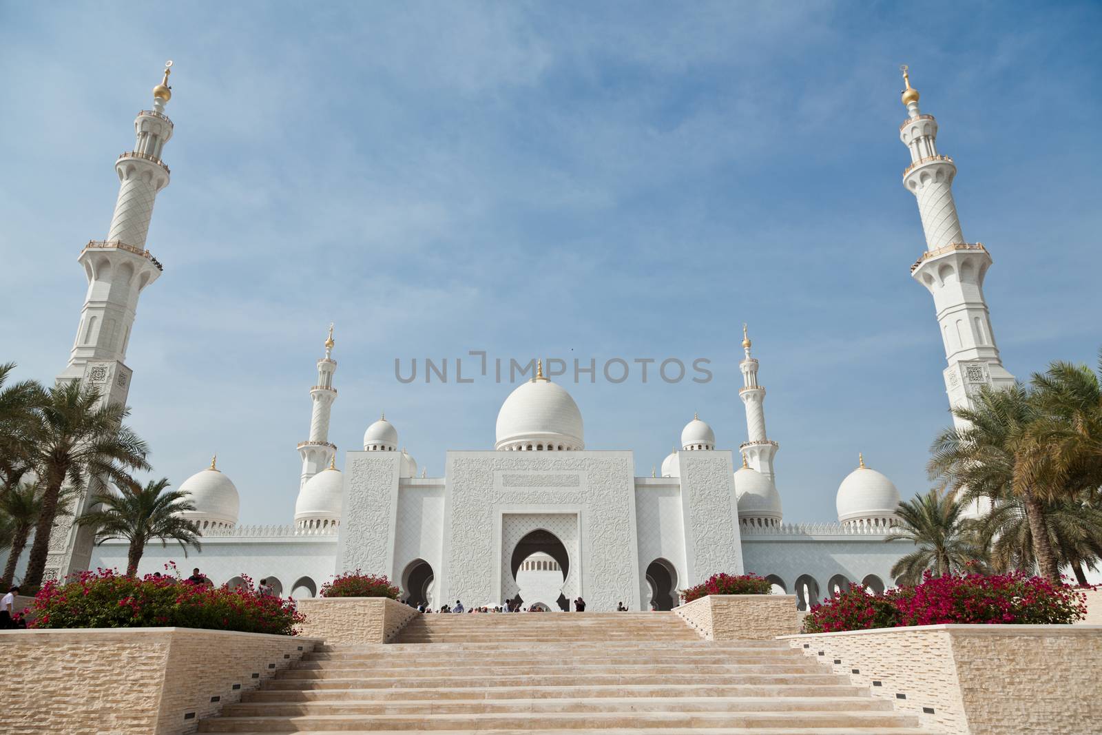 Grand Mosque in Abu Dhabi, United Arab Emirates by oleandra