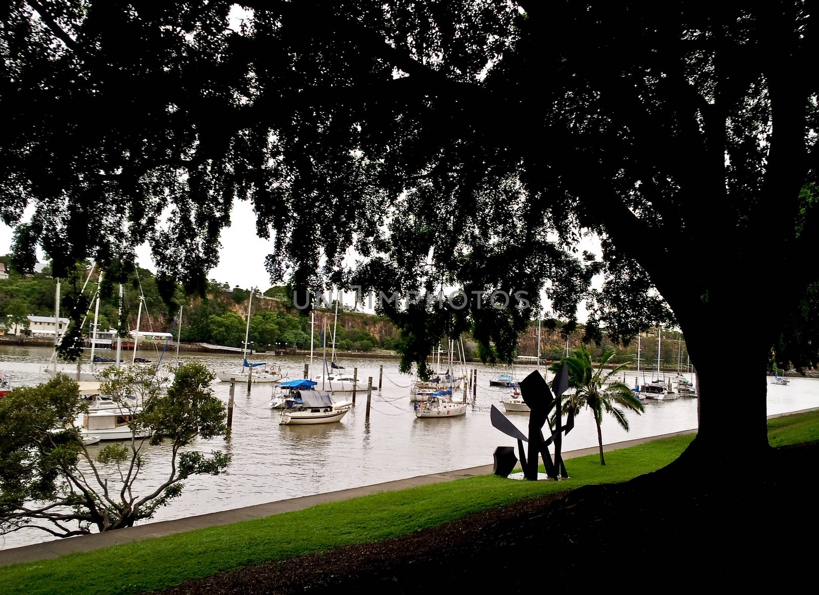 A view of boats in river under tree