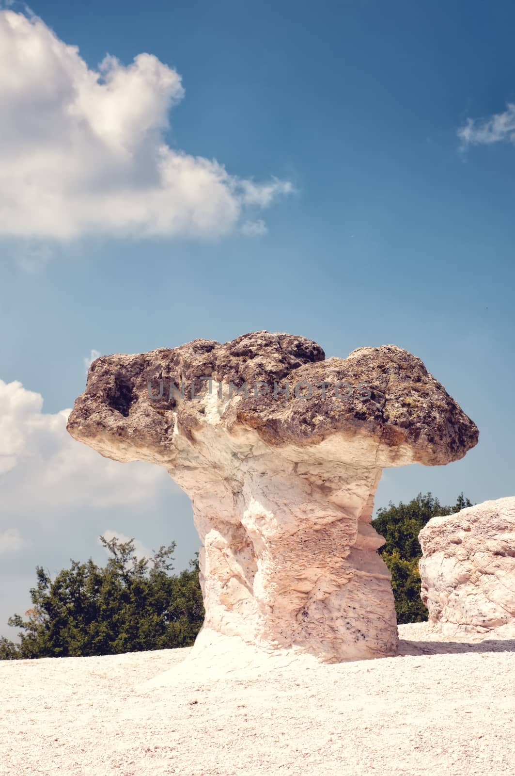 The Stone Mushrooms near Beli Plast Village in Bulgaria by mitakag