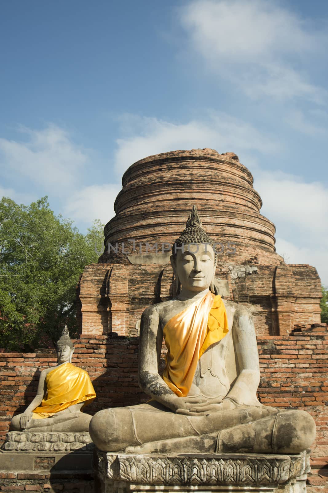 a buddha at the Wat yai chai mongkhon in the city of Ayutthaya north of bangkok in Thailand in southeastasia.