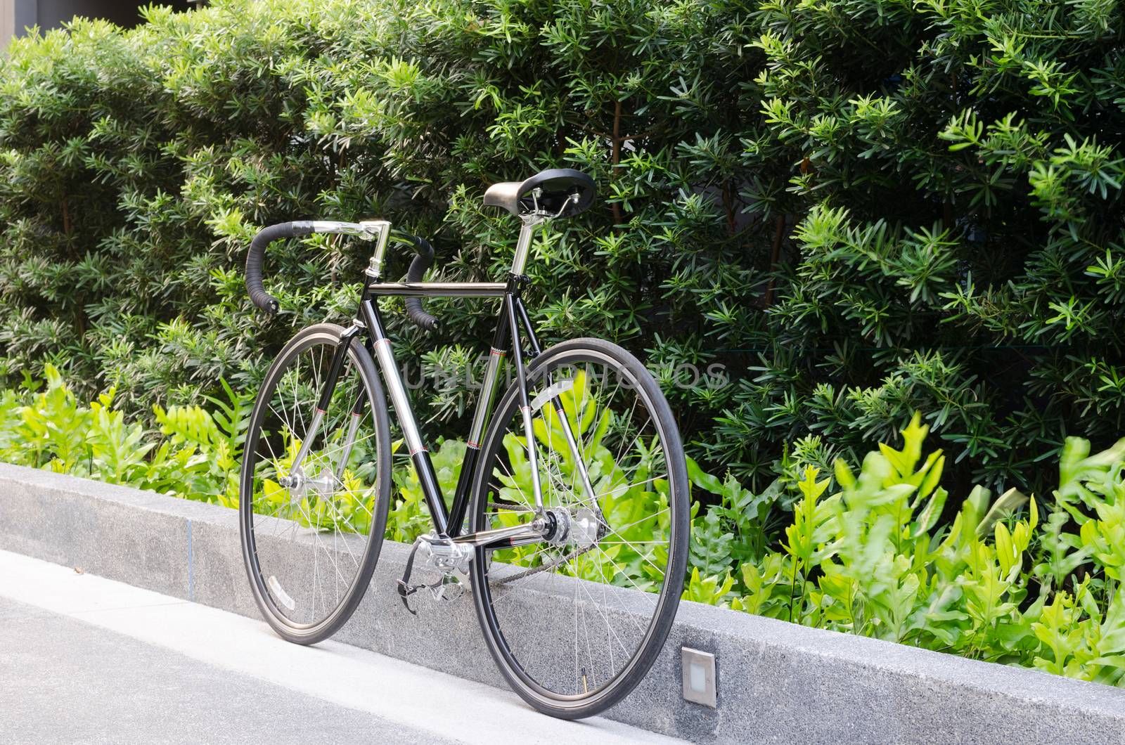 Race road bike with tree by siraanamwong