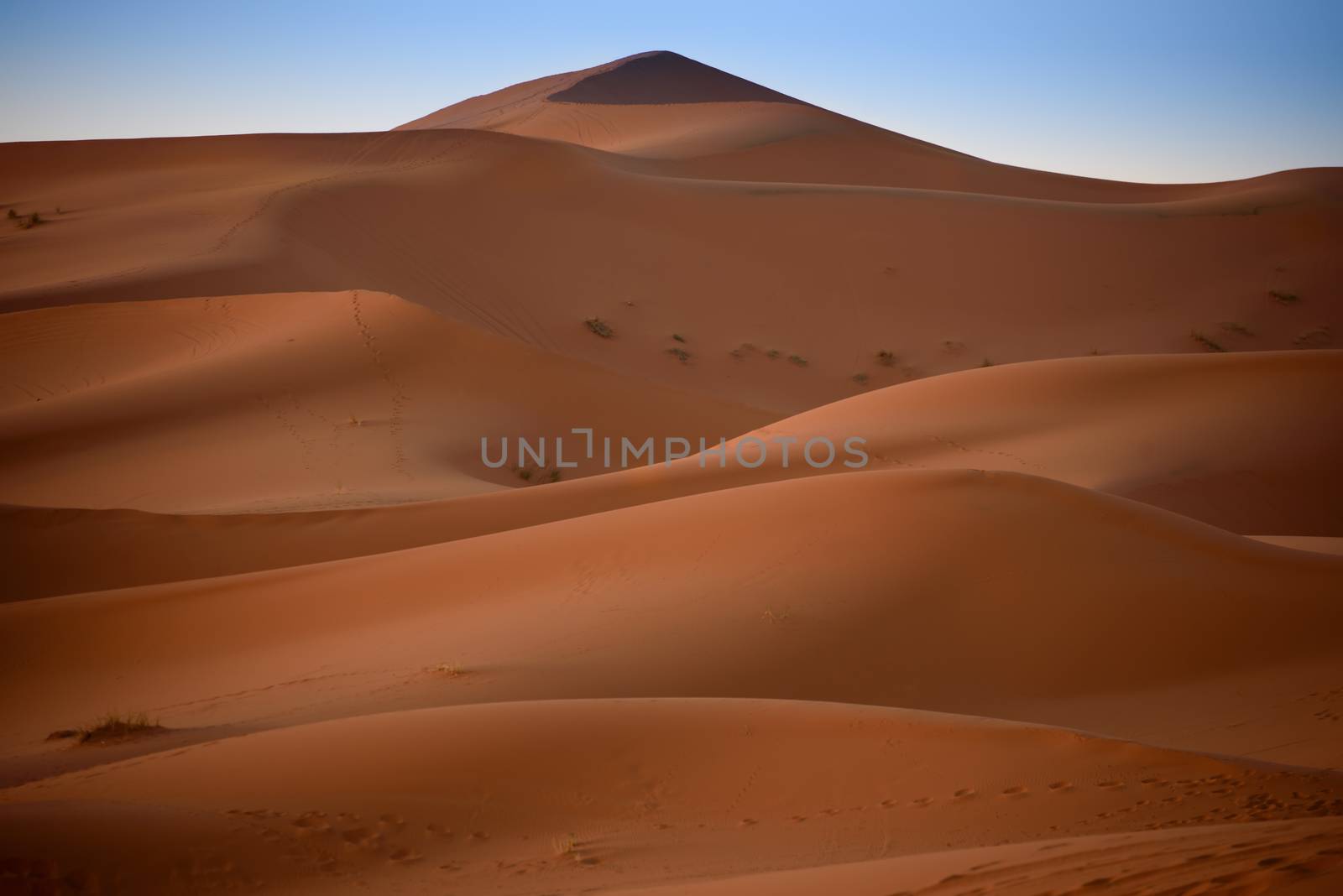 Dunes, Morocco, Sahara Desert by johnnychaos