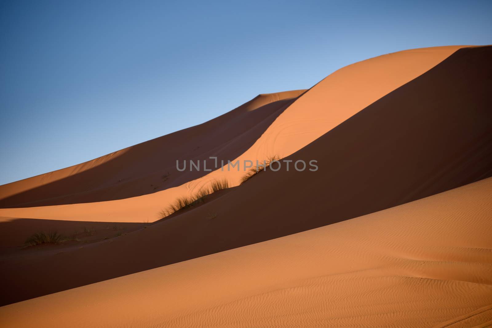 Sand dunes in the Sahara Desert, Erg Chebbi, Merzouga, Morocco