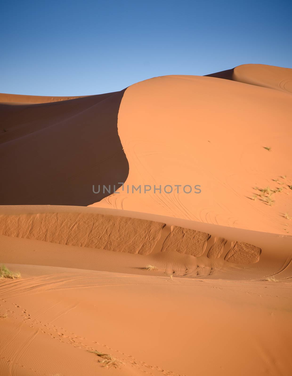 Sand dunes in the Sahara Desert, Erg Chebbi, Merzouga, Morocco