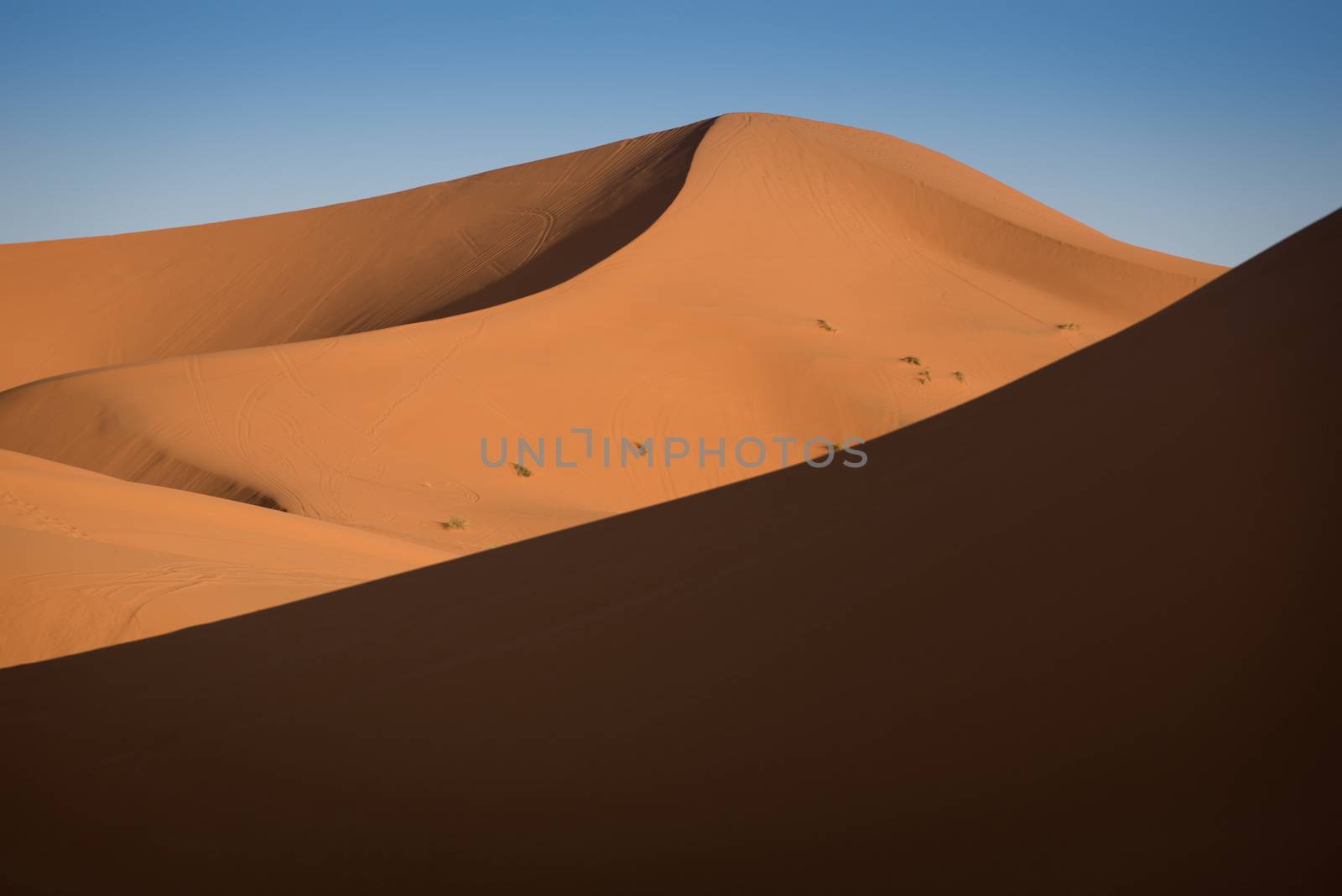 Sand dunes in the Sahara Desert, Erg Chebbi, Merzouga, Morocco