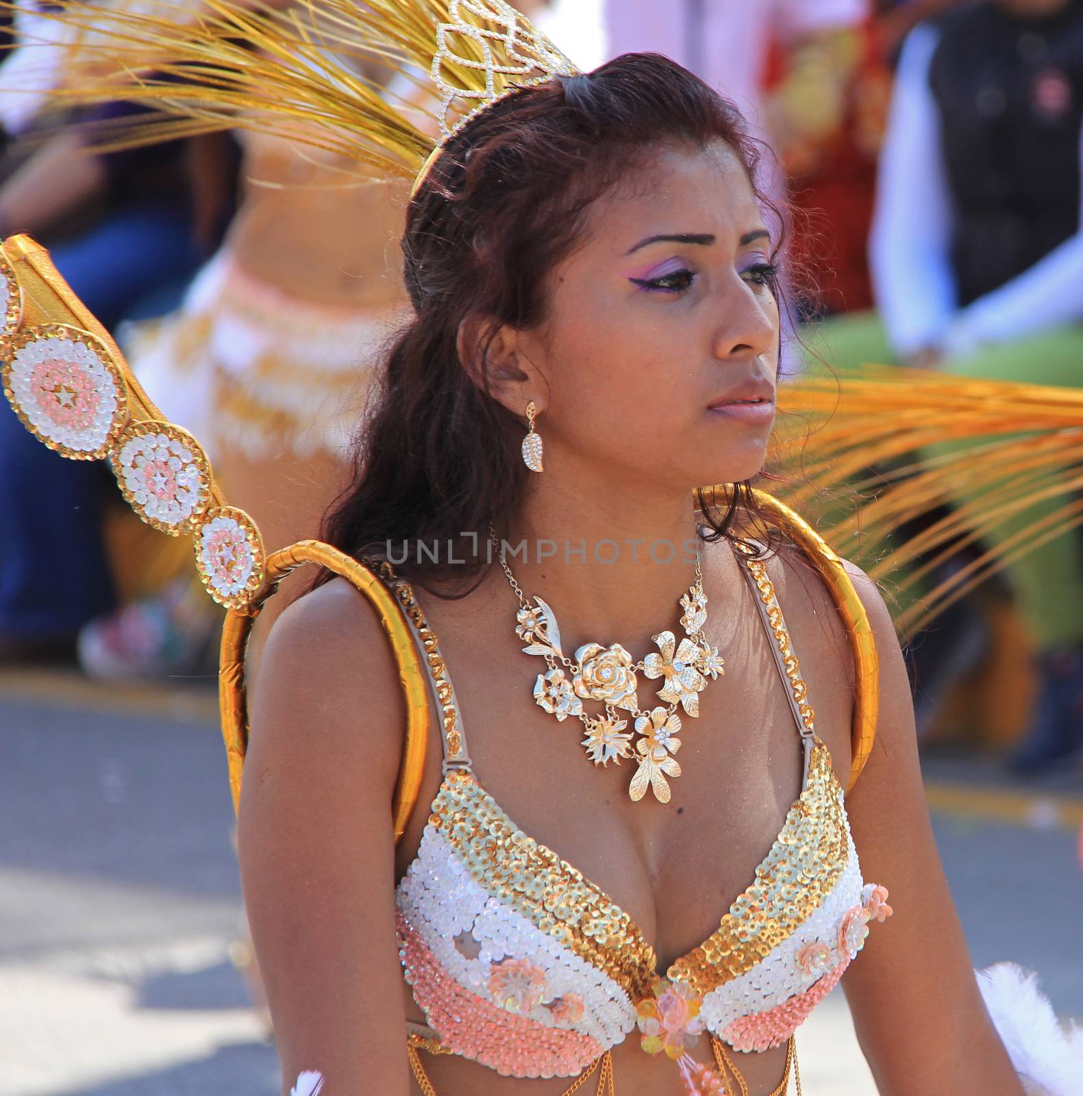 A dancer performing at a parade during a carnaval in Veracruz, Mexico 07 Feb 2016 No model release Editorial use only