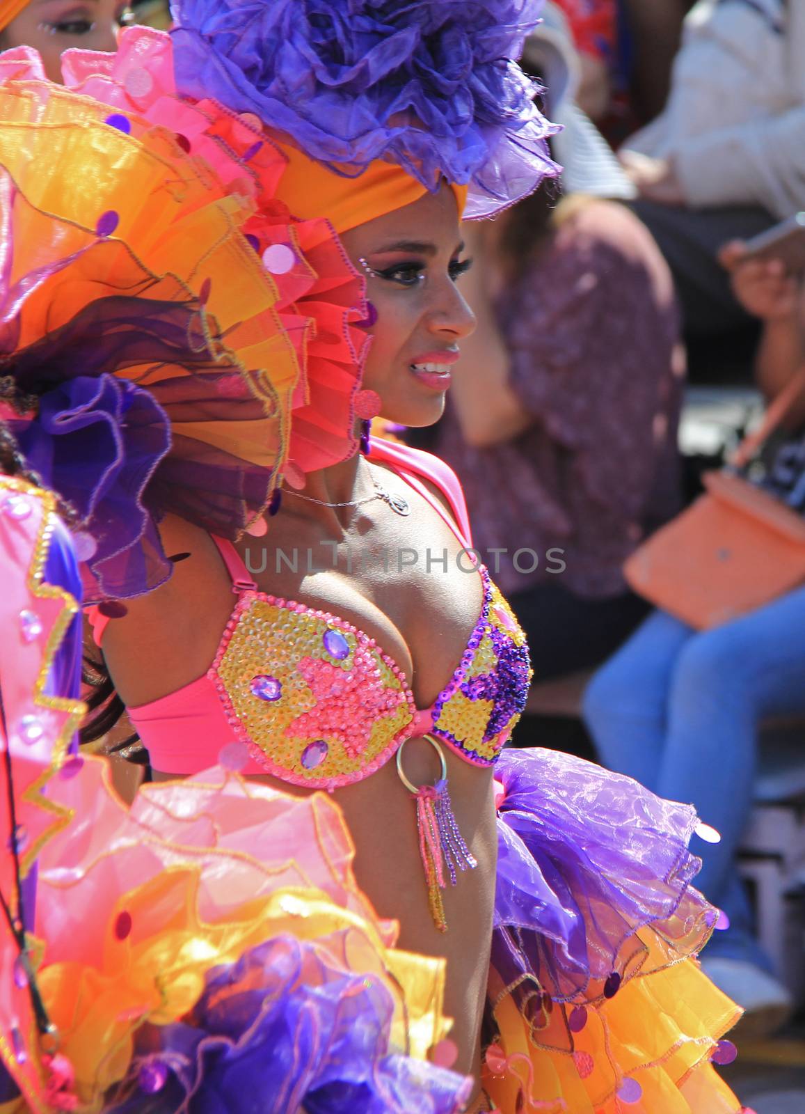 Carnaval Parade by photocdn39