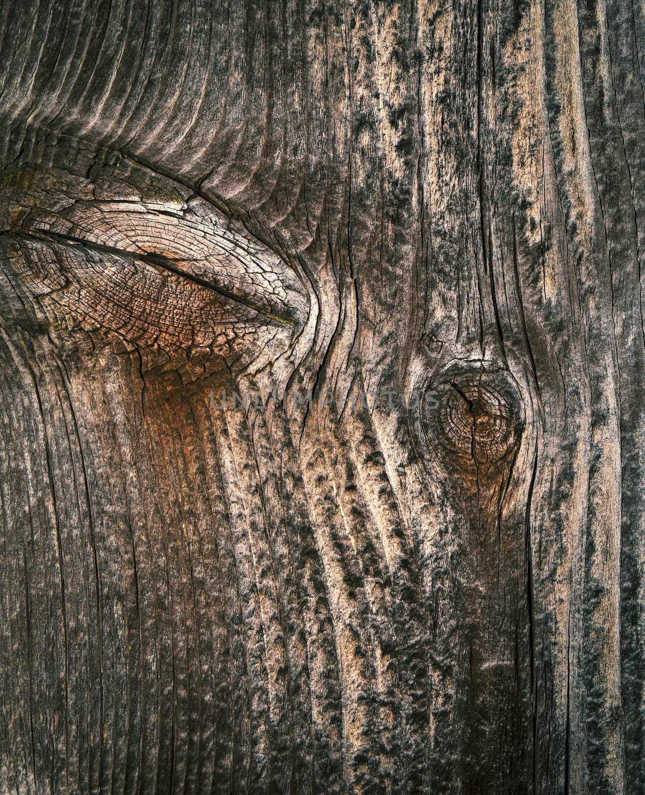 background or texture old aged wooden board