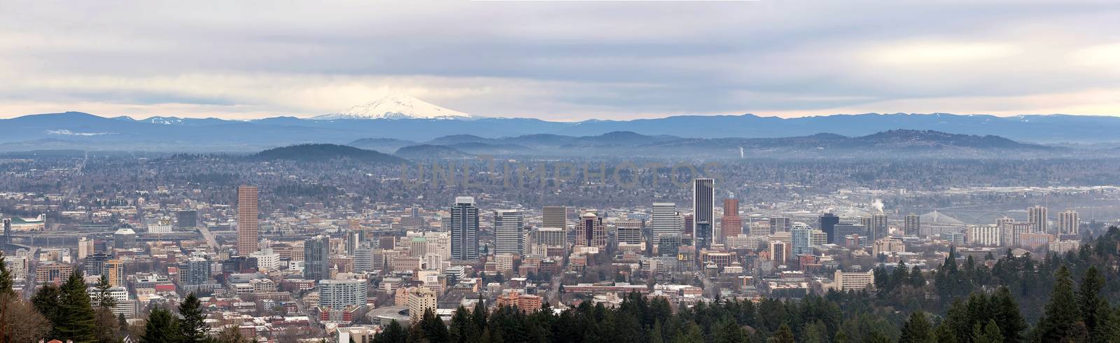 Portland Oregon downtown cityscape with Mount Hood Panorama