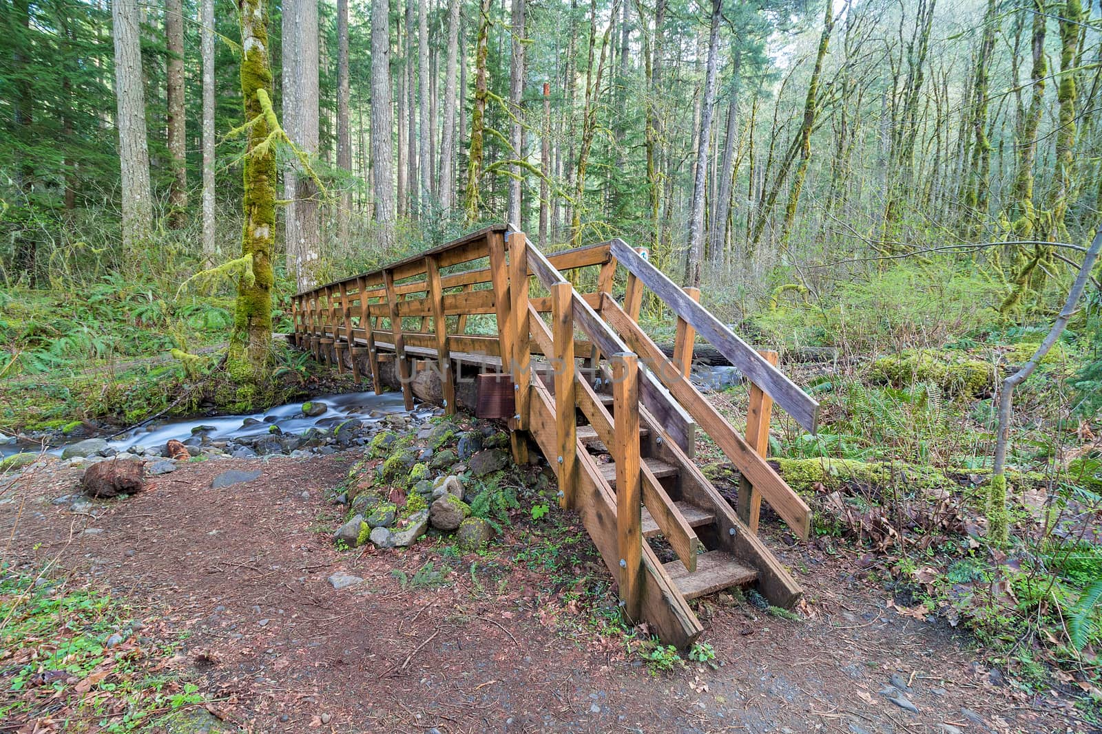 Wood Bridge over Dry Creek in Pacific Crest Trail in Columbia River Gorge Oregon