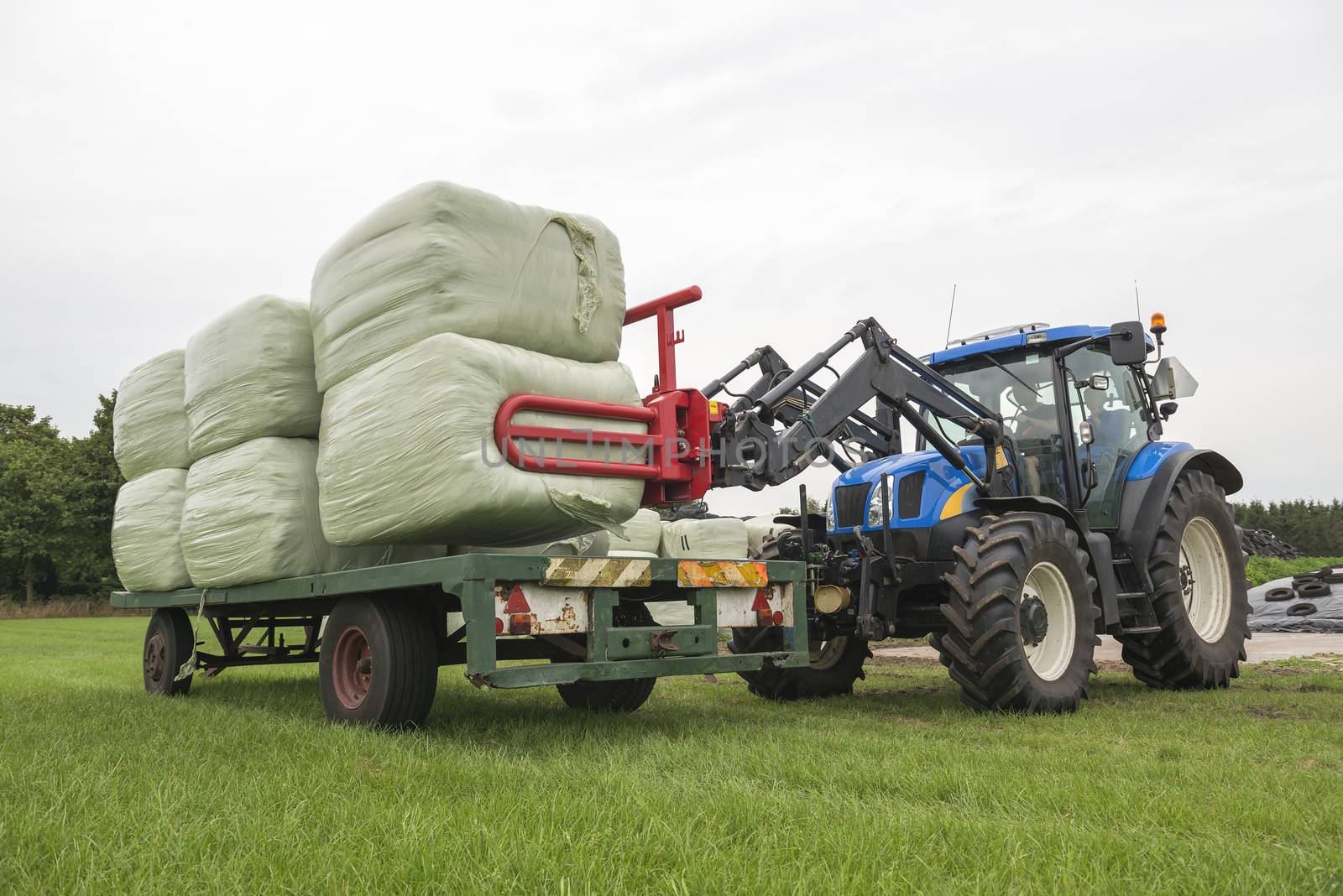 Loading plastic hay bales on a flat cart by a blue tractor
