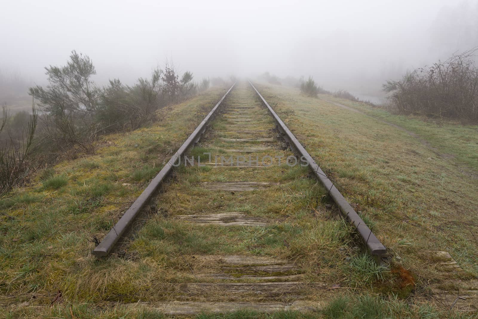 Old railway line shrouded in the fog.
 by Tofotografie