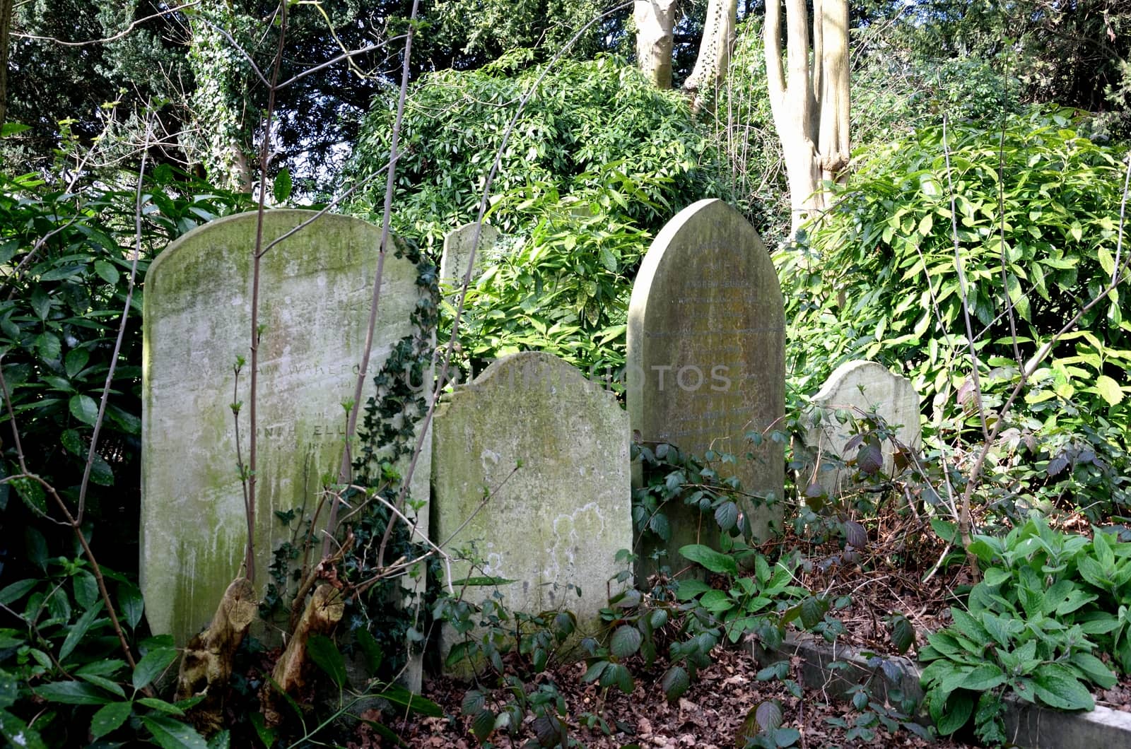 Trree Gravestones in graveyard by pauws99