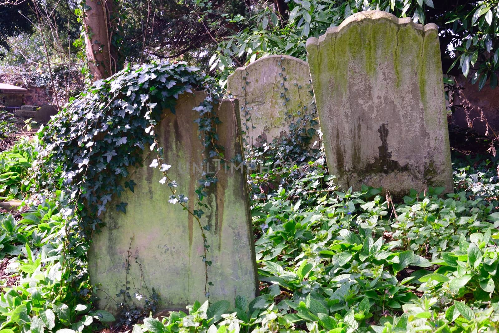 Small group of gravestones in  Graveyard by pauws99