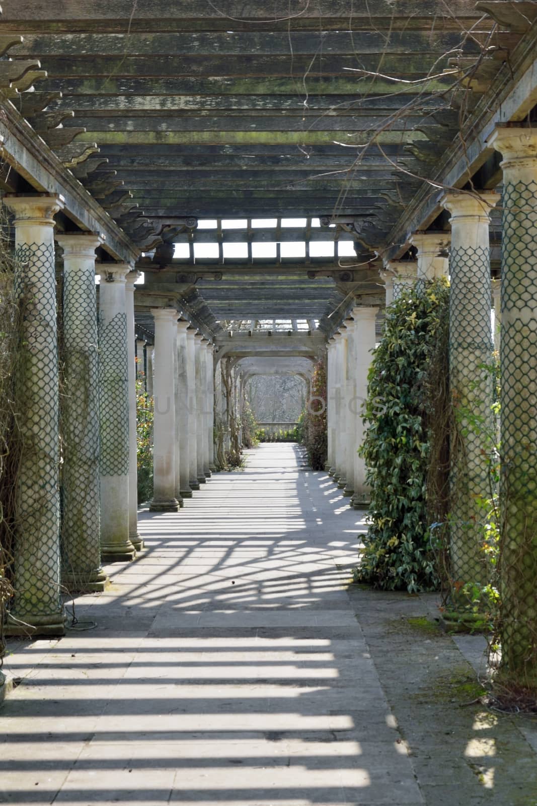 Wooden passage way in garden