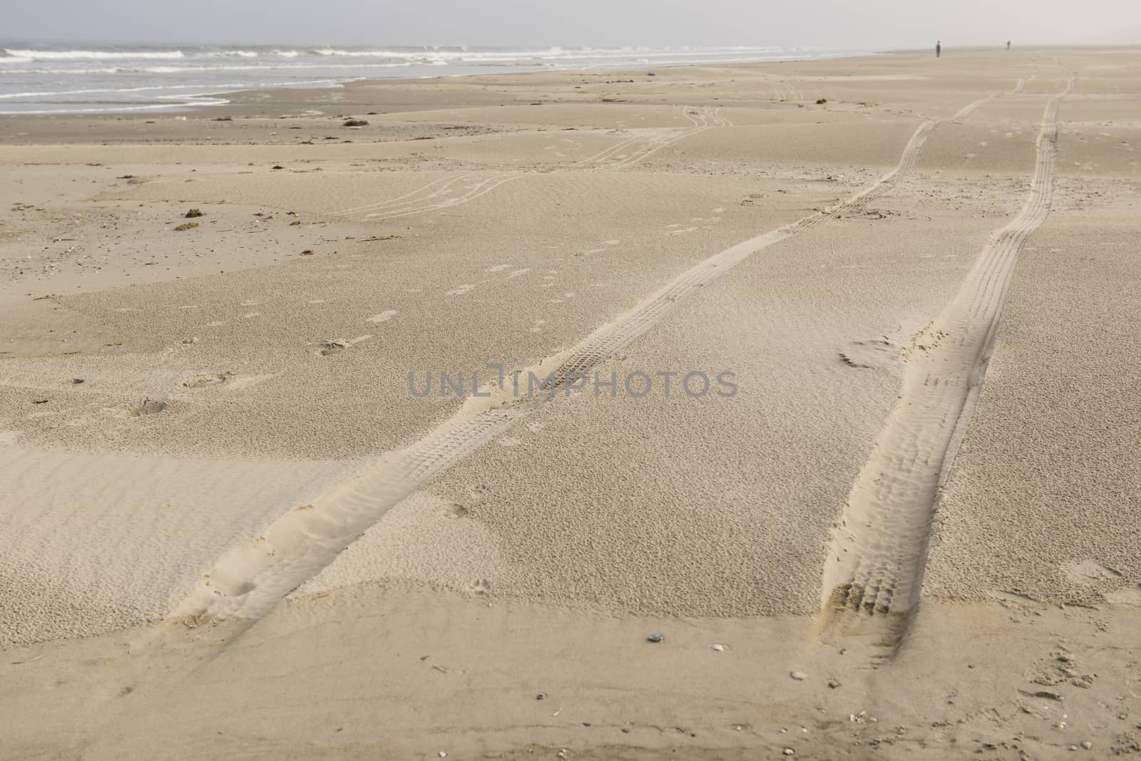 Traces in the North Sea Beach of Terschelling
