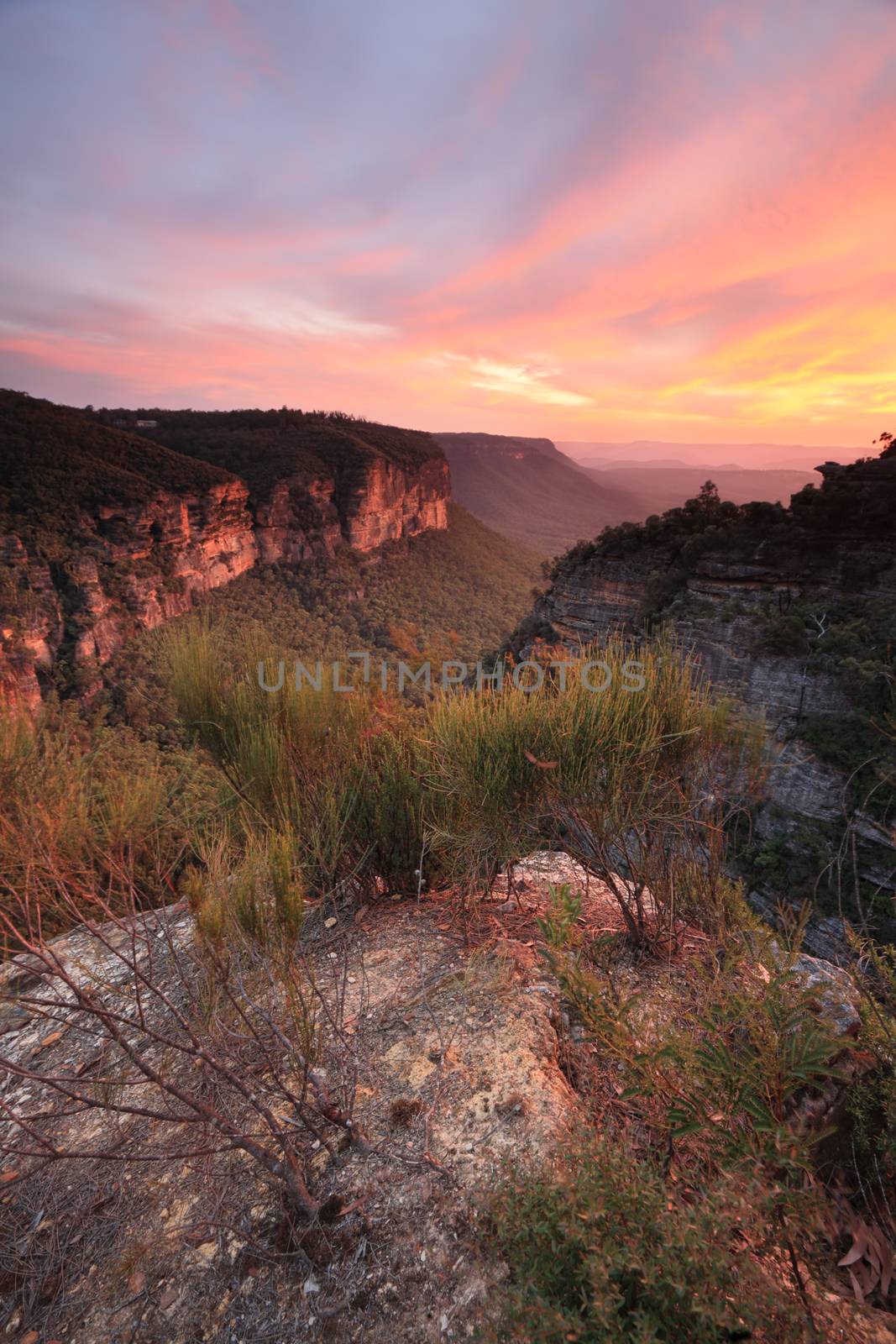 Beautiful views into Nellies Glen from Katoomba as the sun sets in summer casting a warm orange glow into the valleys, cliffs and landscape
